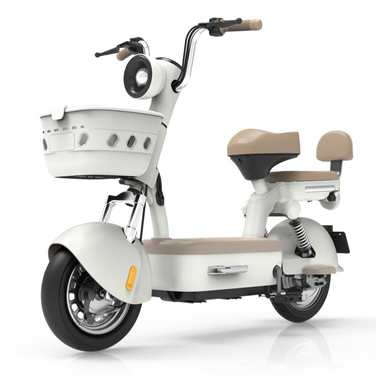electric bicycle